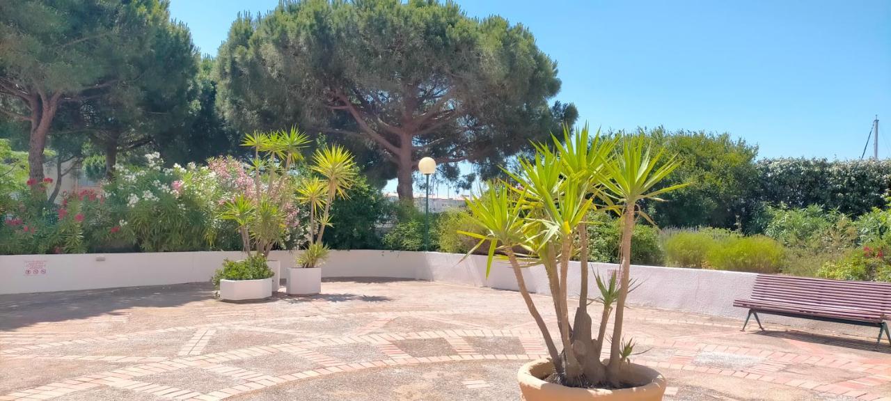 Studio Cap D'Agde La Grande Voile Экстерьер фото